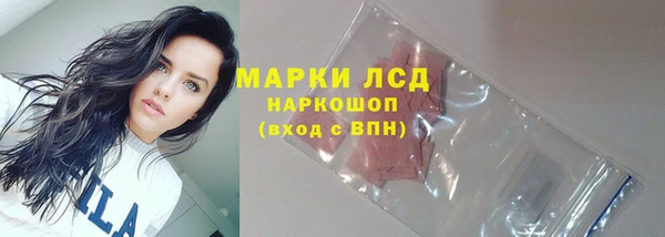 ECSTASY Покровск