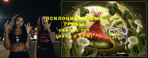 винт Абаза