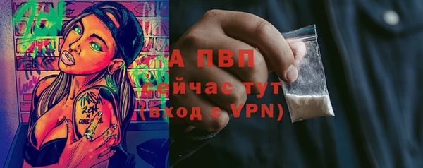 винт Абаза