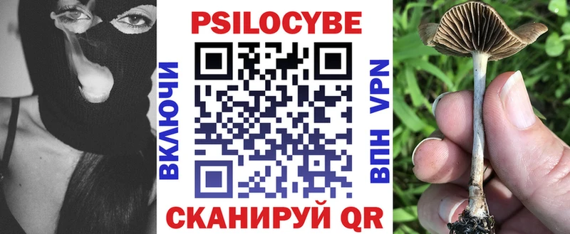 наркота  Калач  Галлюциногенные грибы прущие грибы 